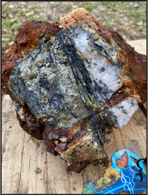 Outcrop grab sample collected during 2021 prospecting at Elmtree